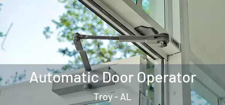  Automatic Door Operator Troy - AL