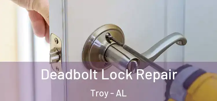  Deadbolt Lock Repair Troy - AL